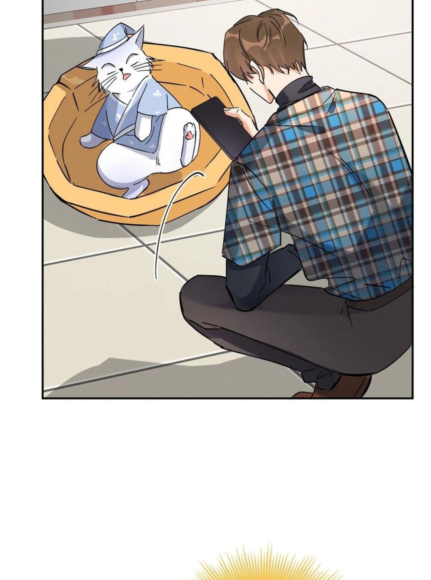 Tengo que trabajar duro para ser un gato hoy! - capitulo 20 manhwa