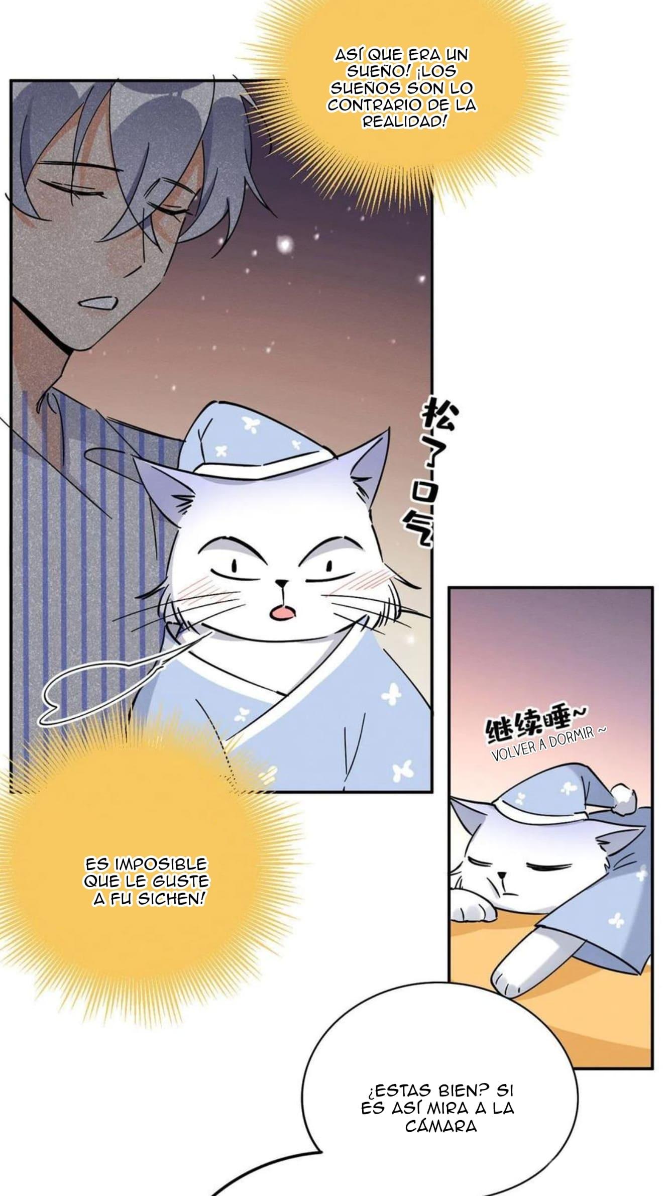 Tengo que trabajar duro para ser un gato hoy! - capitulo 20 manhwa