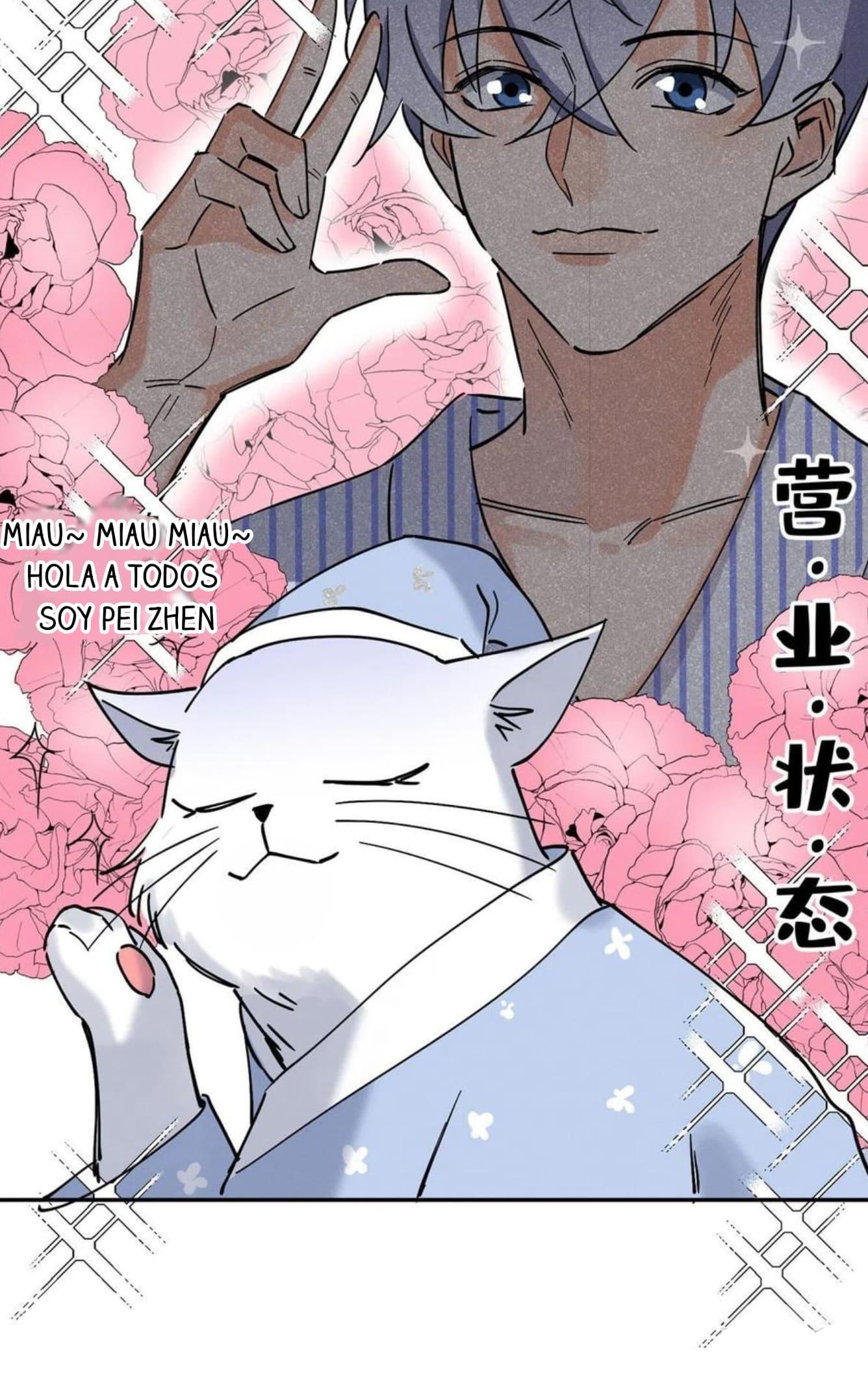 Tengo que trabajar duro para ser un gato hoy! - capitulo 20 manhwa