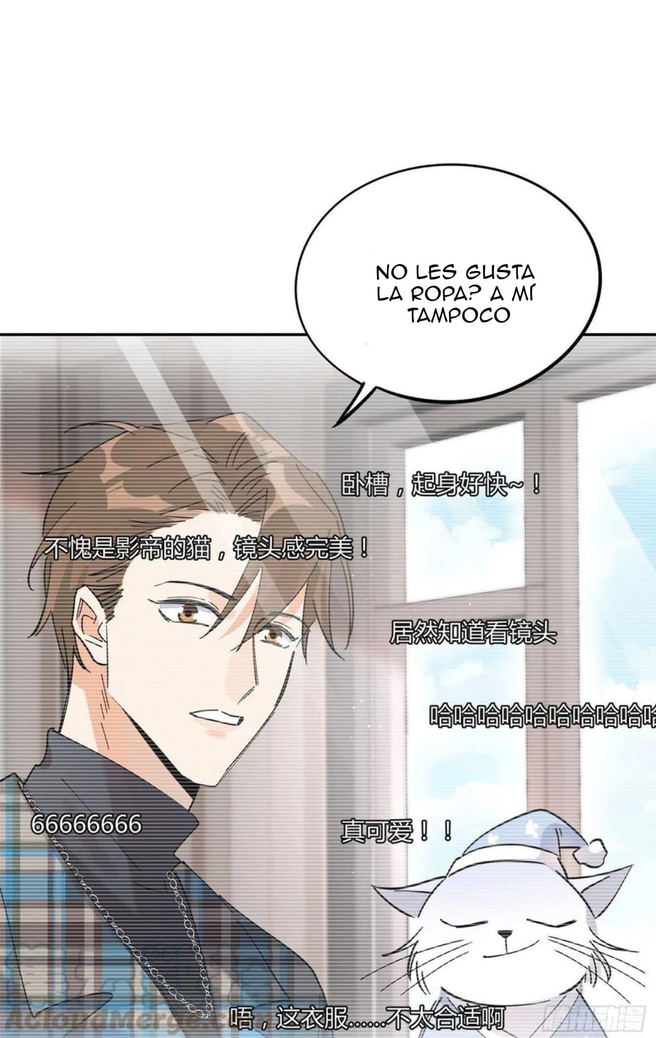Tengo que trabajar duro para ser un gato hoy! - capitulo 20 manhwa