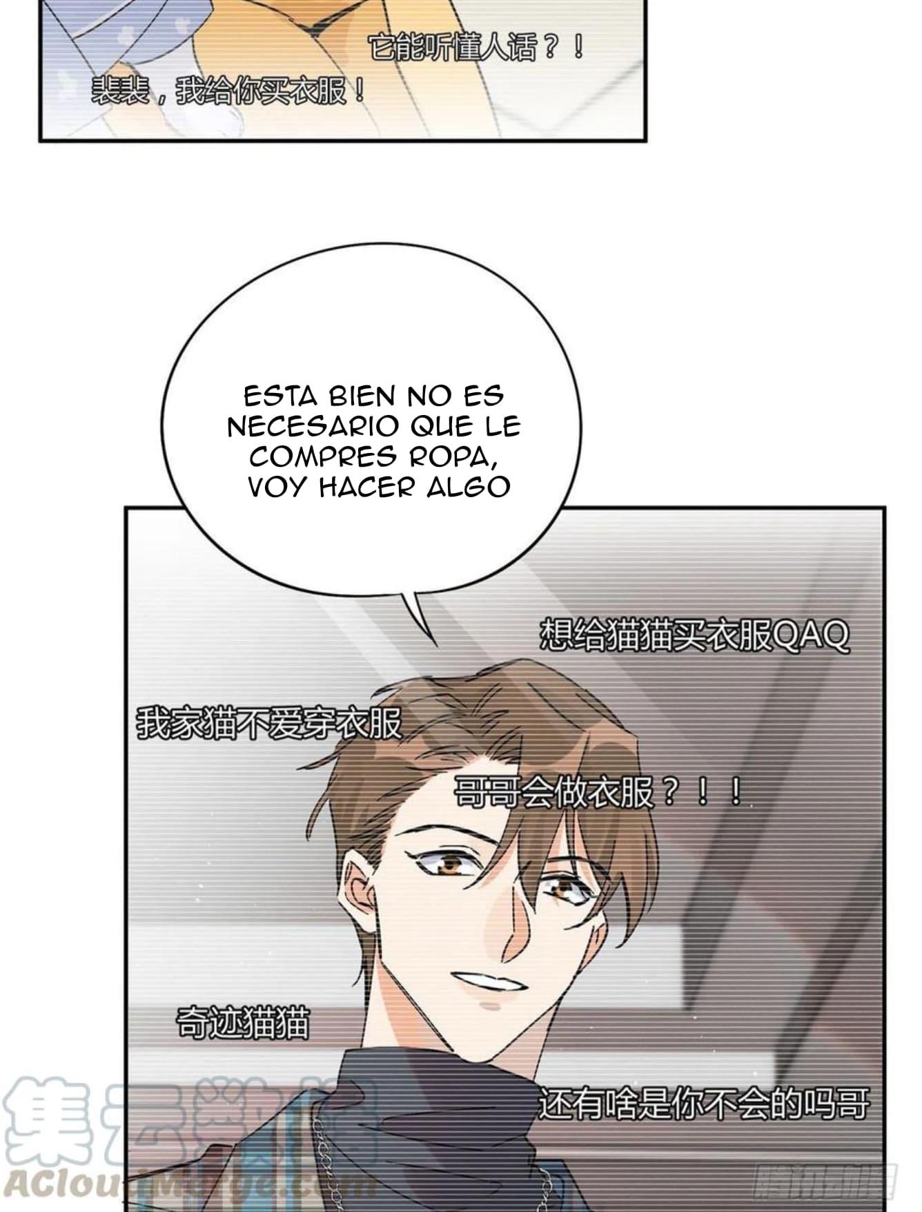 Tengo que trabajar duro para ser un gato hoy! - capitulo 20 manhwa