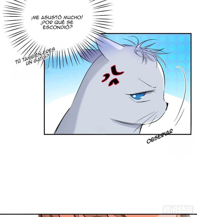 Tengo que trabajar duro para ser un gato hoy! - capitulo 37 manhwa