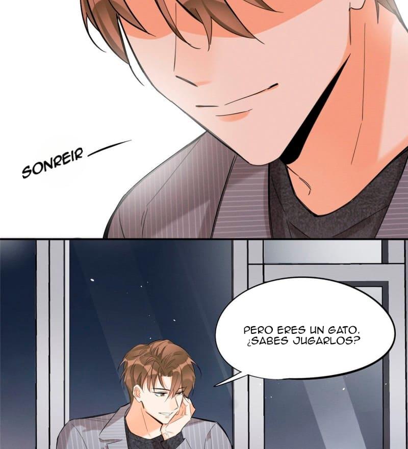 Tengo que trabajar duro para ser un gato hoy! - capitulo 37 manhwa