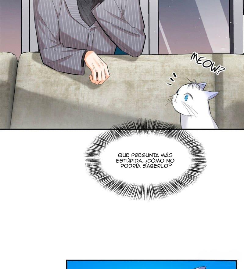Tengo que trabajar duro para ser un gato hoy! - capitulo 37 manhwa
