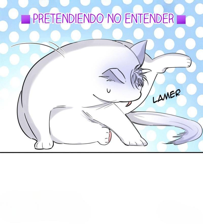 Tengo que trabajar duro para ser un gato hoy! - capitulo 37 manhwa