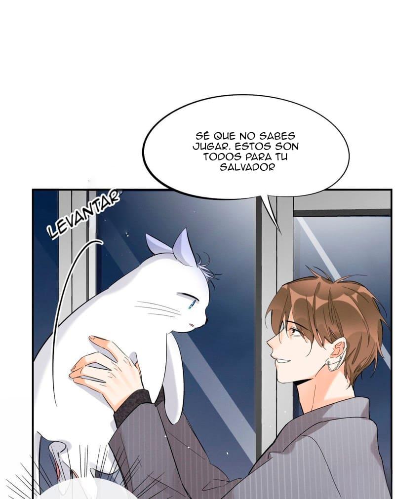 Tengo que trabajar duro para ser un gato hoy! - capitulo 37 manhwa