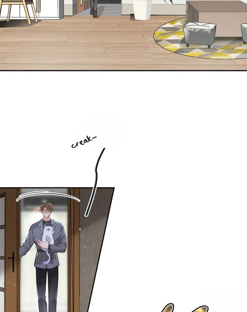 Tengo que trabajar duro para ser un gato hoy! - capitulo 37 manhwa