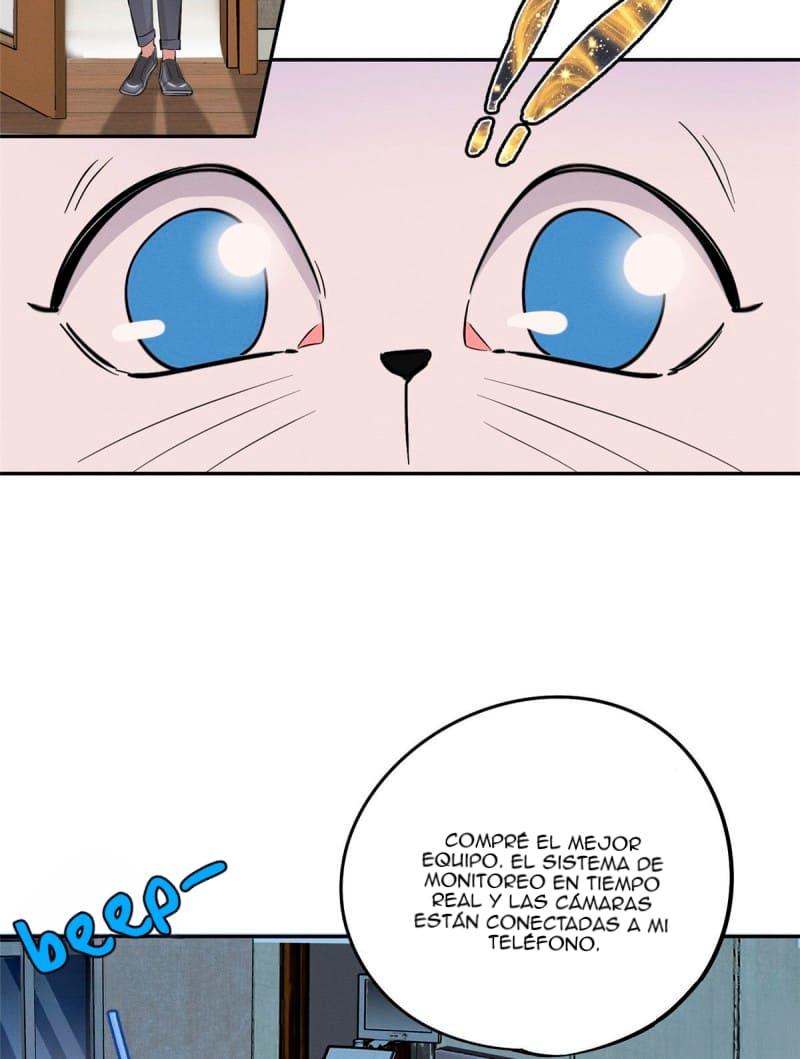Tengo que trabajar duro para ser un gato hoy! - capitulo 37 manhwa