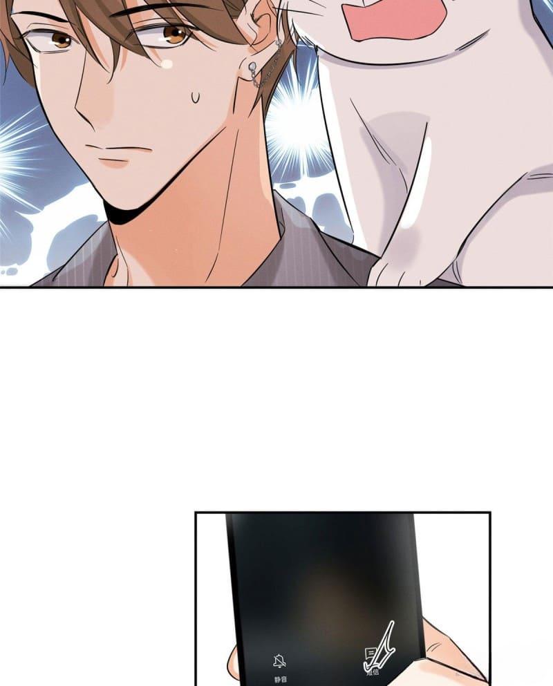 Tengo que trabajar duro para ser un gato hoy! - capitulo 37 manhwa