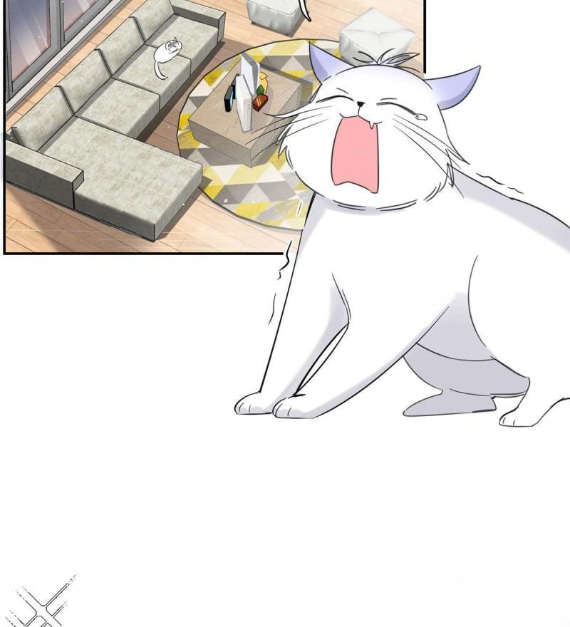 Tengo que trabajar duro para ser un gato hoy! - capitulo 37 manhwa