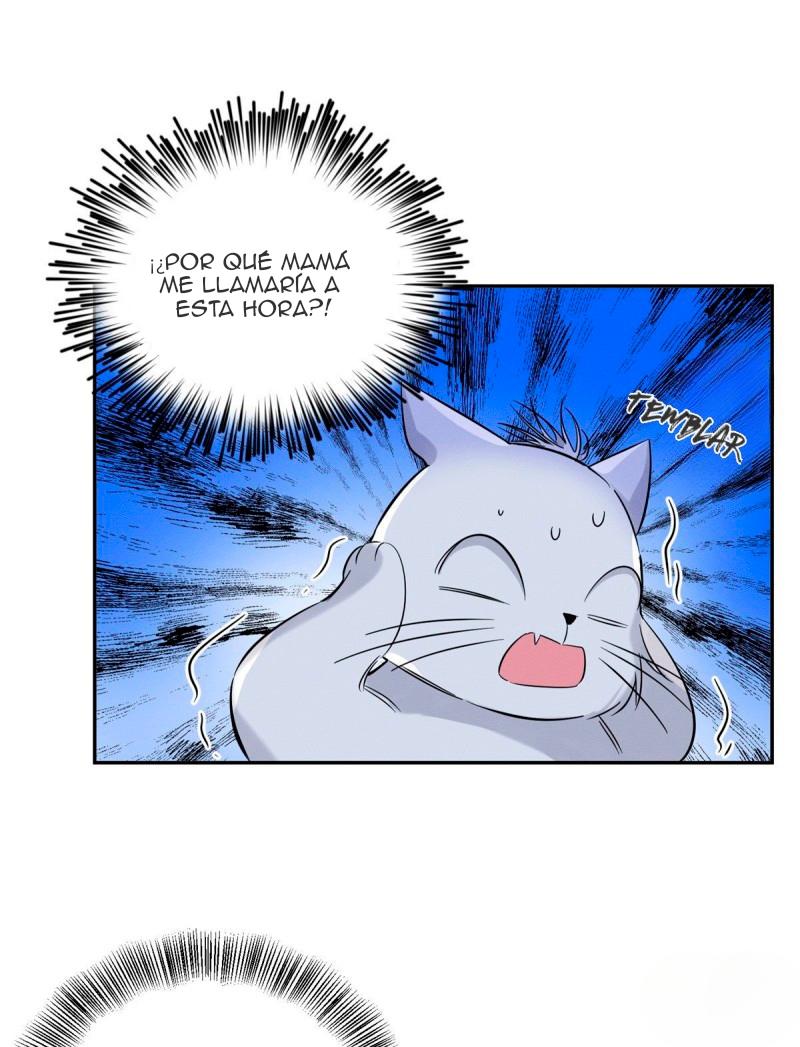 Tengo que trabajar duro para ser un gato hoy! - capitulo 37 manhwa