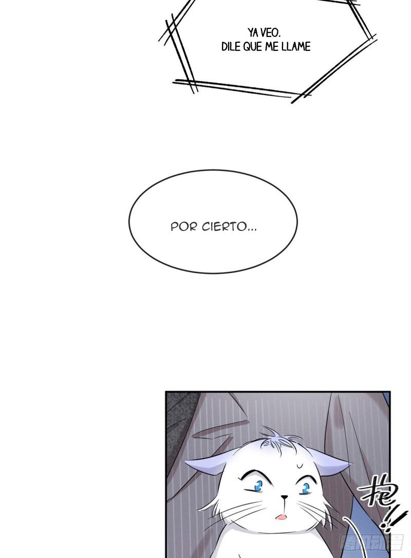 Tengo que trabajar duro para ser un gato hoy! - capitulo 37 manhwa