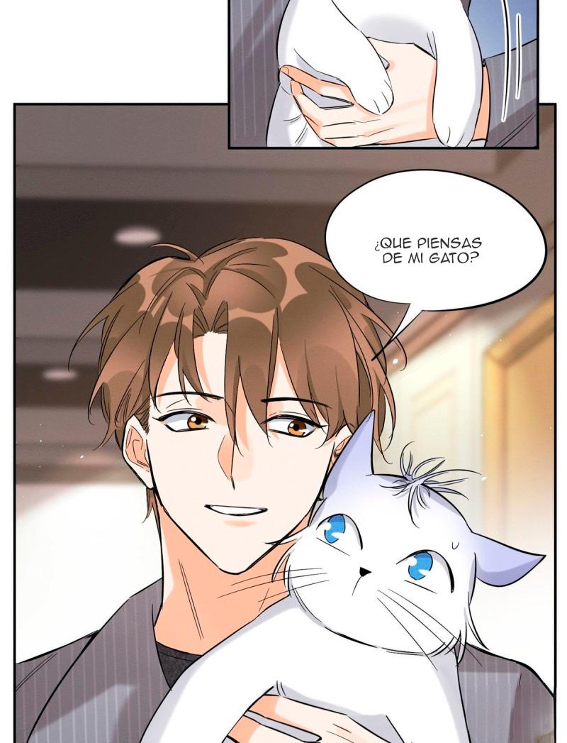 Tengo que trabajar duro para ser un gato hoy! - capitulo 37 manhwa