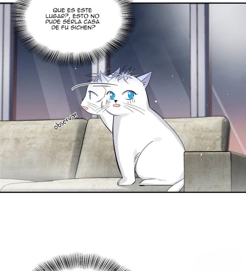 Tengo que trabajar duro para ser un gato hoy! - capitulo 37 manhwa