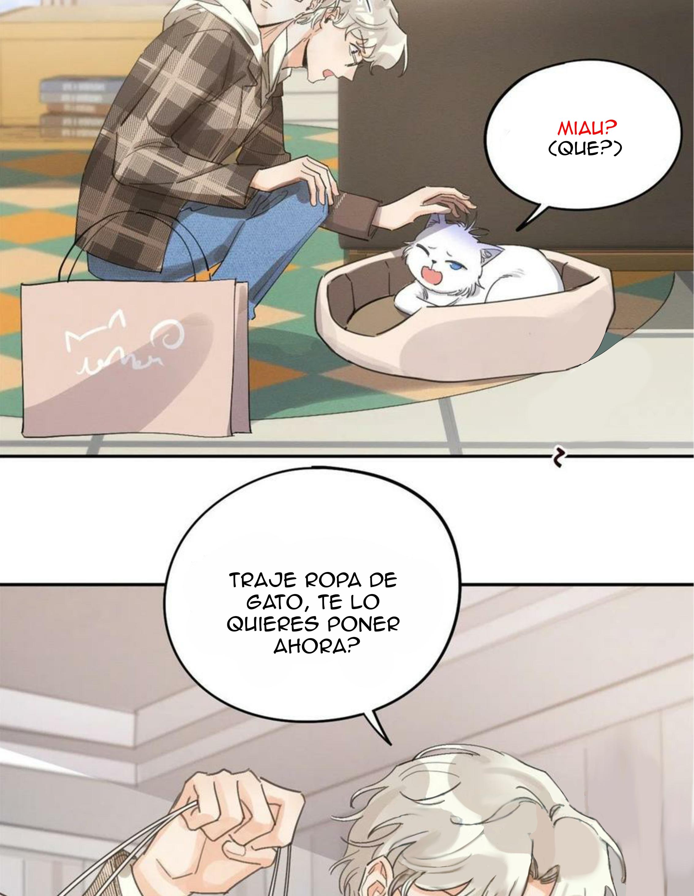 Tengo que trabajar duro para ser un gato hoy! - capitulo 14 manhwa