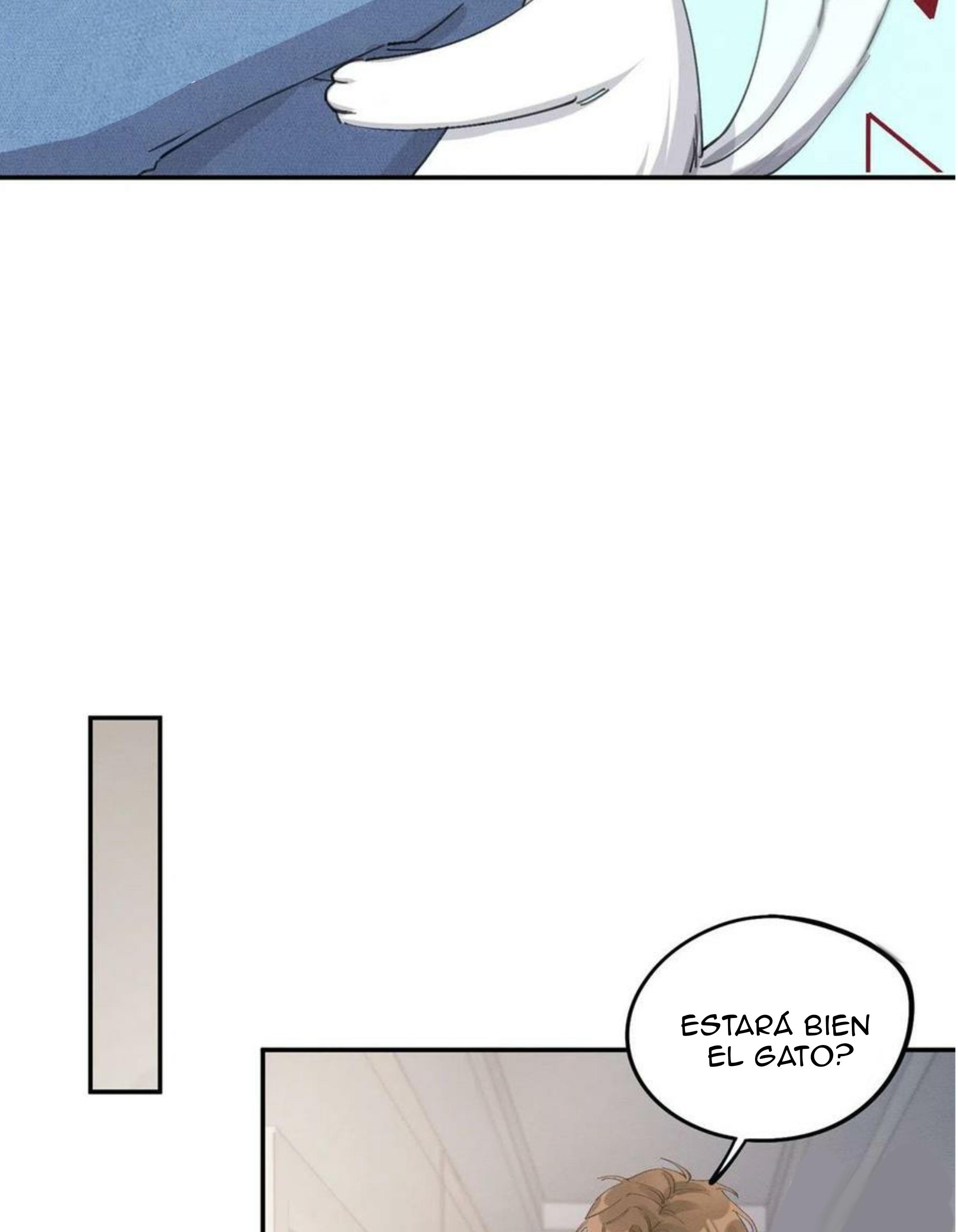 Tengo que trabajar duro para ser un gato hoy! - capitulo 14 manhwa
