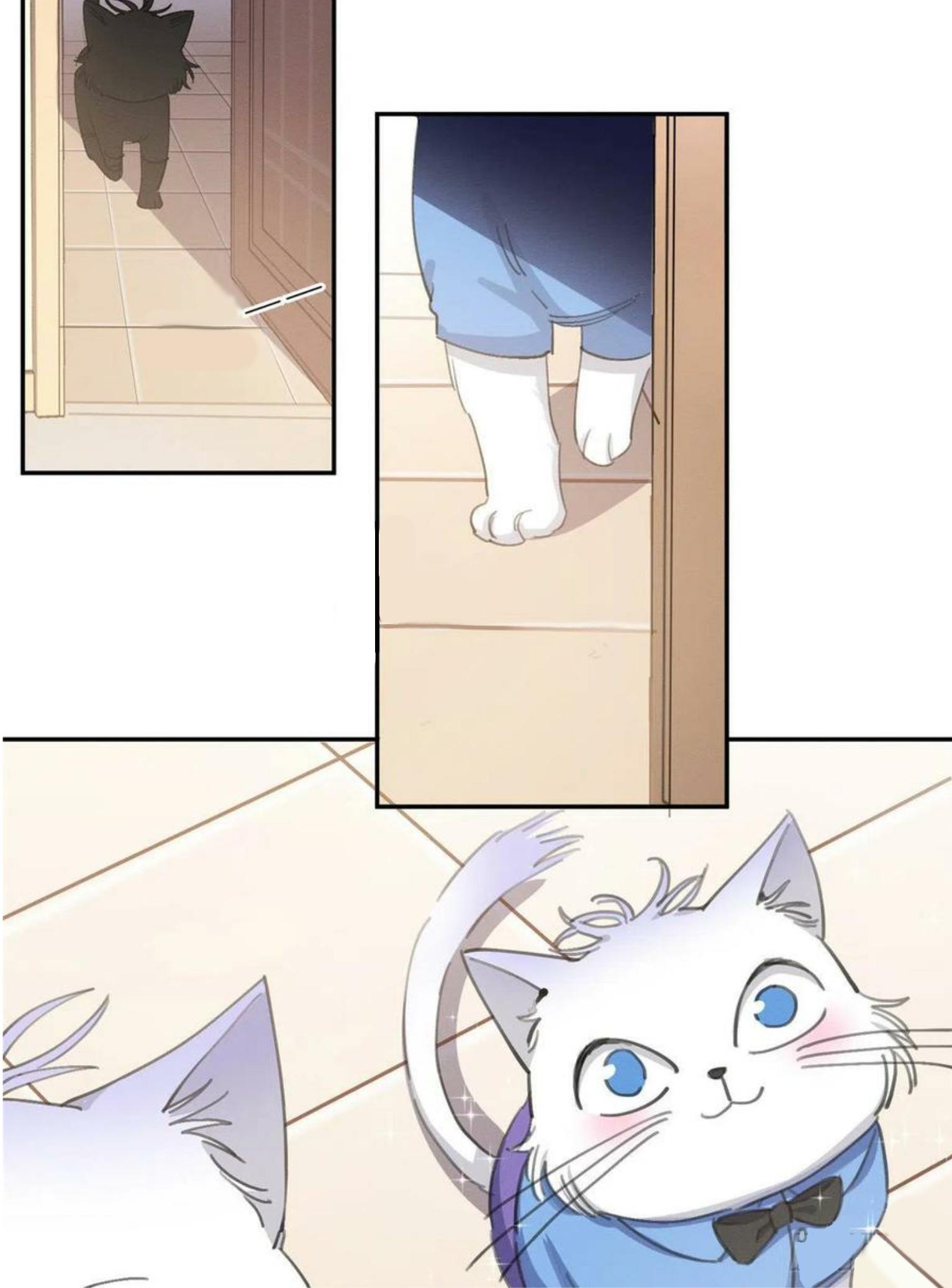 Tengo que trabajar duro para ser un gato hoy! - capitulo 14 manhwa