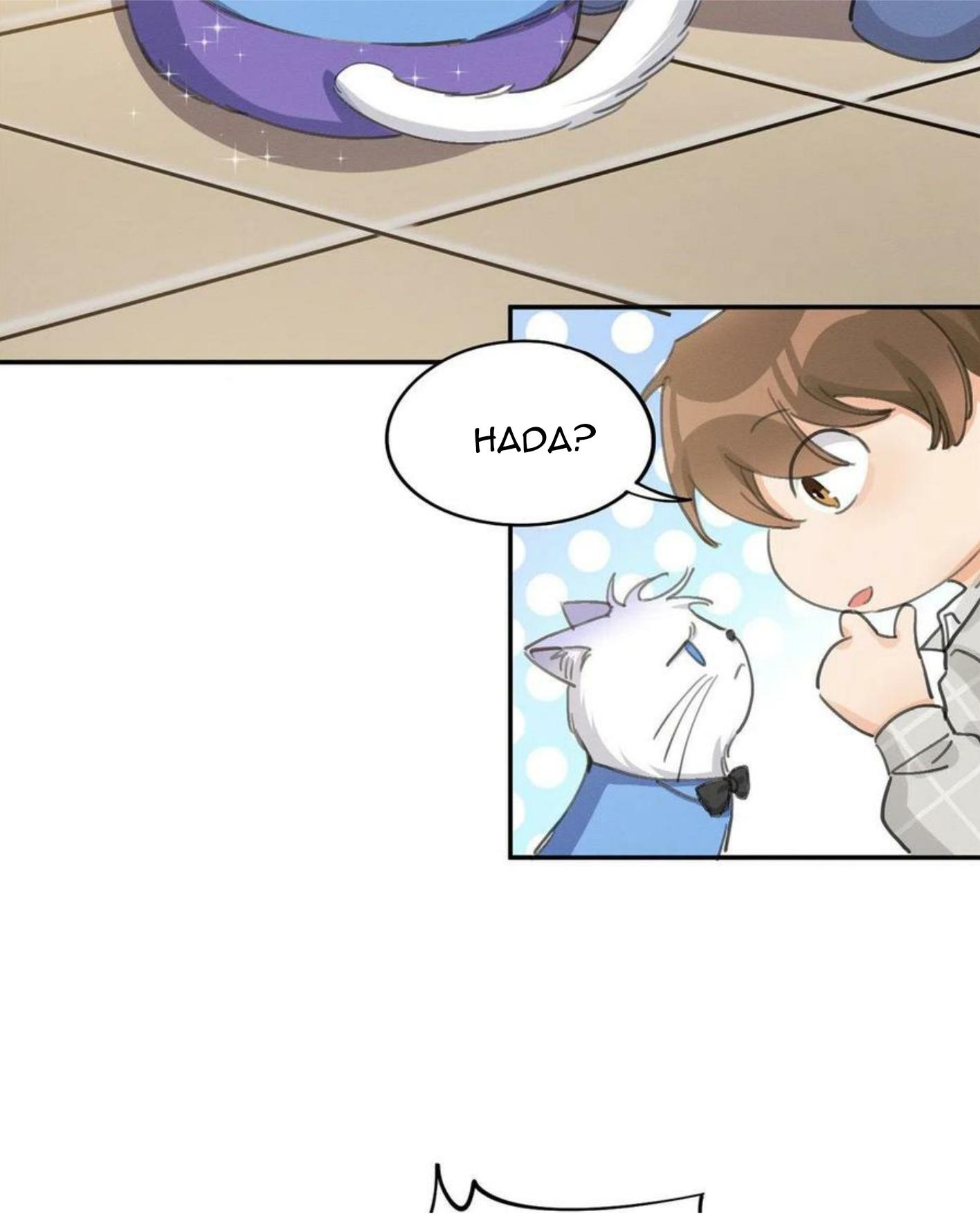 Tengo que trabajar duro para ser un gato hoy! - capitulo 14 manhwa