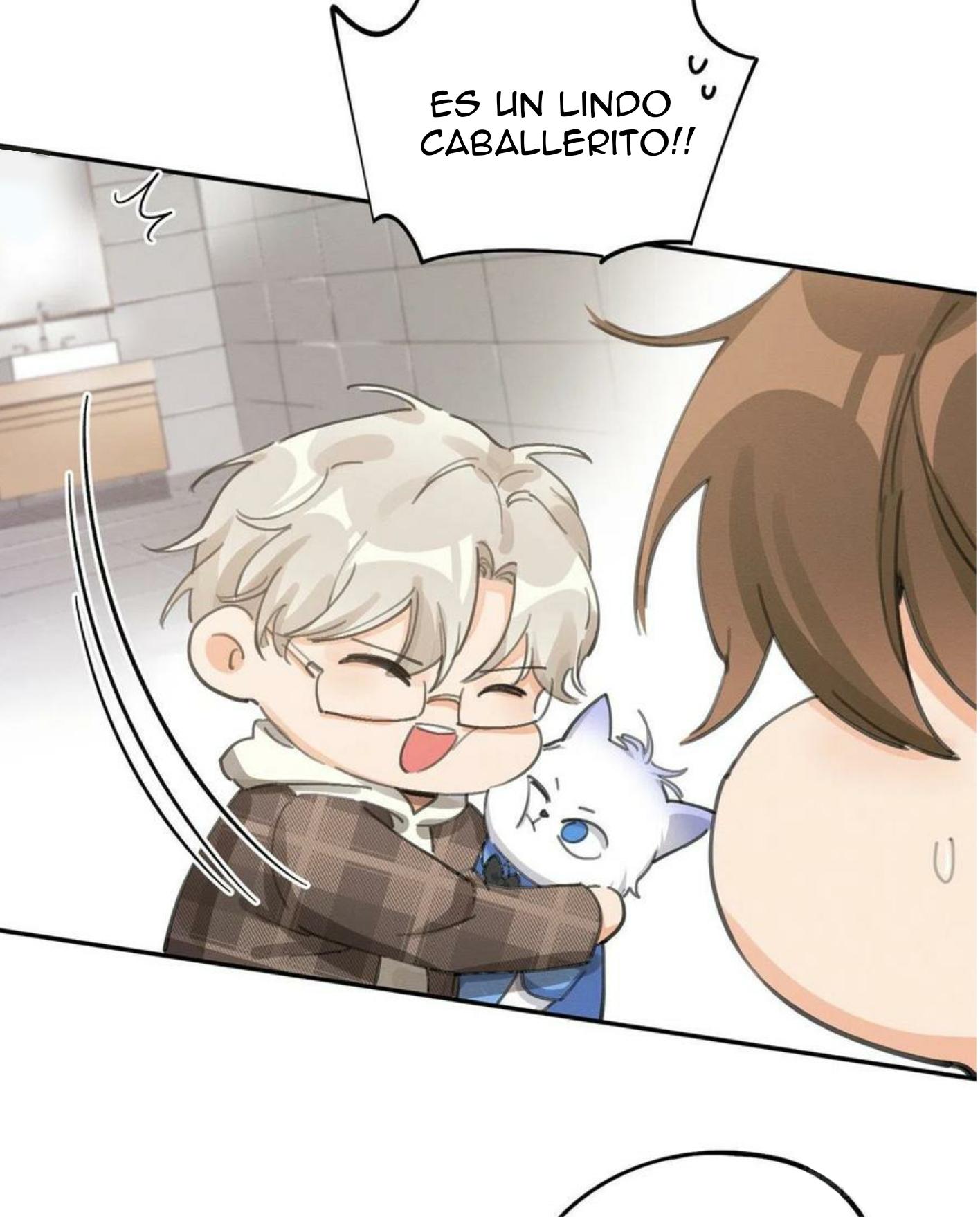 Tengo que trabajar duro para ser un gato hoy! - capitulo 14 manhwa