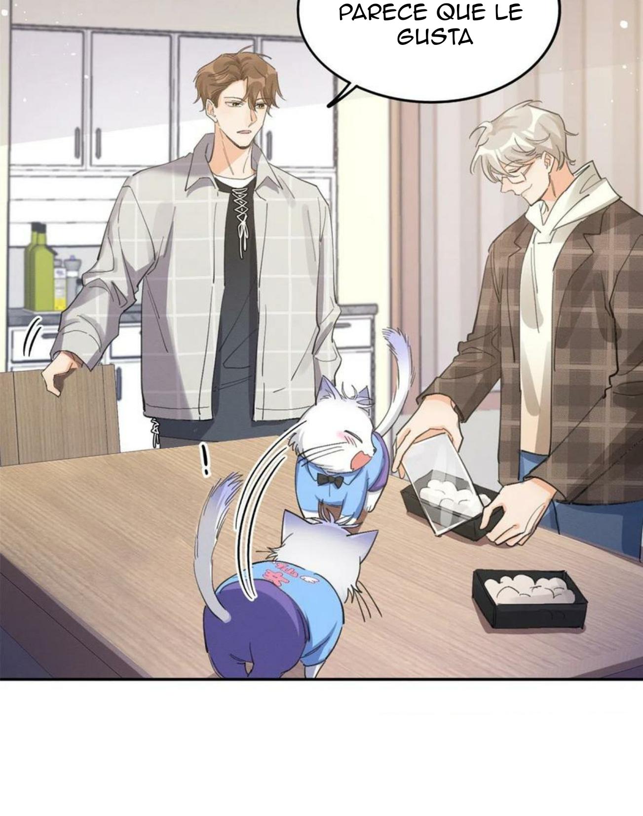 Tengo que trabajar duro para ser un gato hoy! - capitulo 14 manhwa