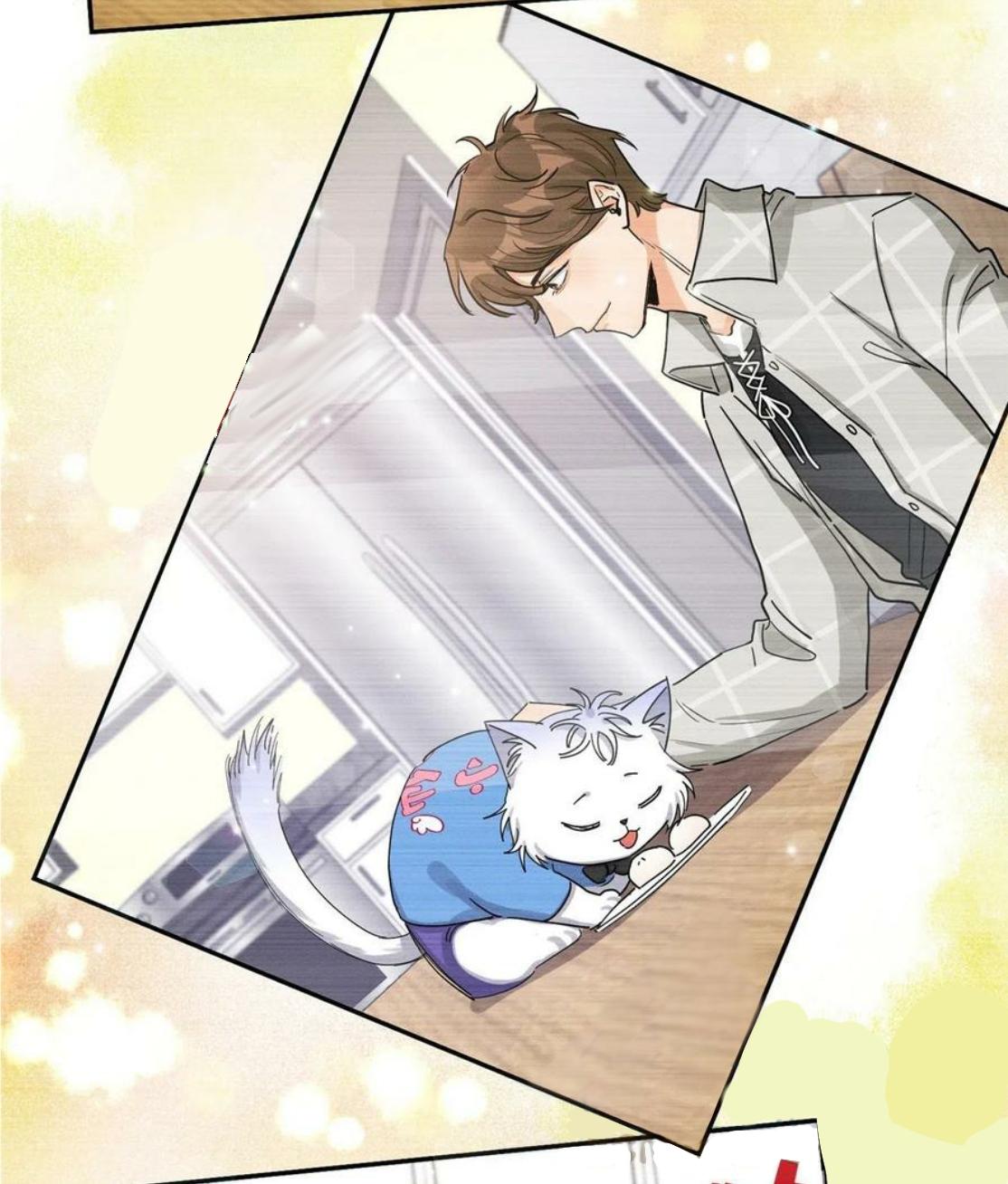 Tengo que trabajar duro para ser un gato hoy! - capitulo 14 manhwa