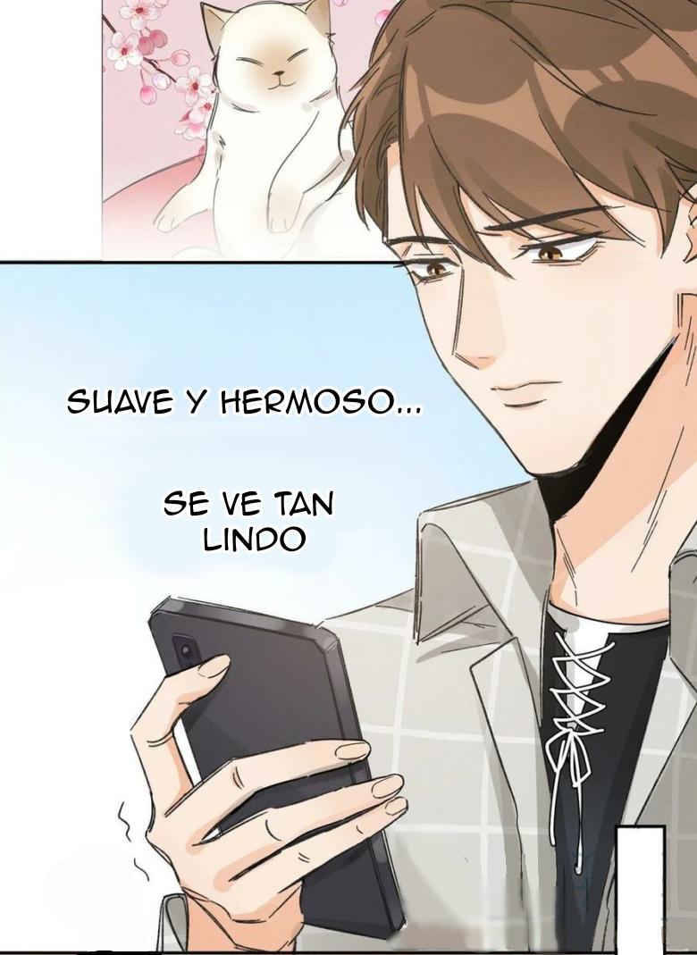 Tengo que trabajar duro para ser un gato hoy! - capitulo 14 manhwa