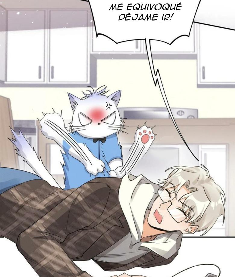 Tengo que trabajar duro para ser un gato hoy! - capitulo 14 manhwa
