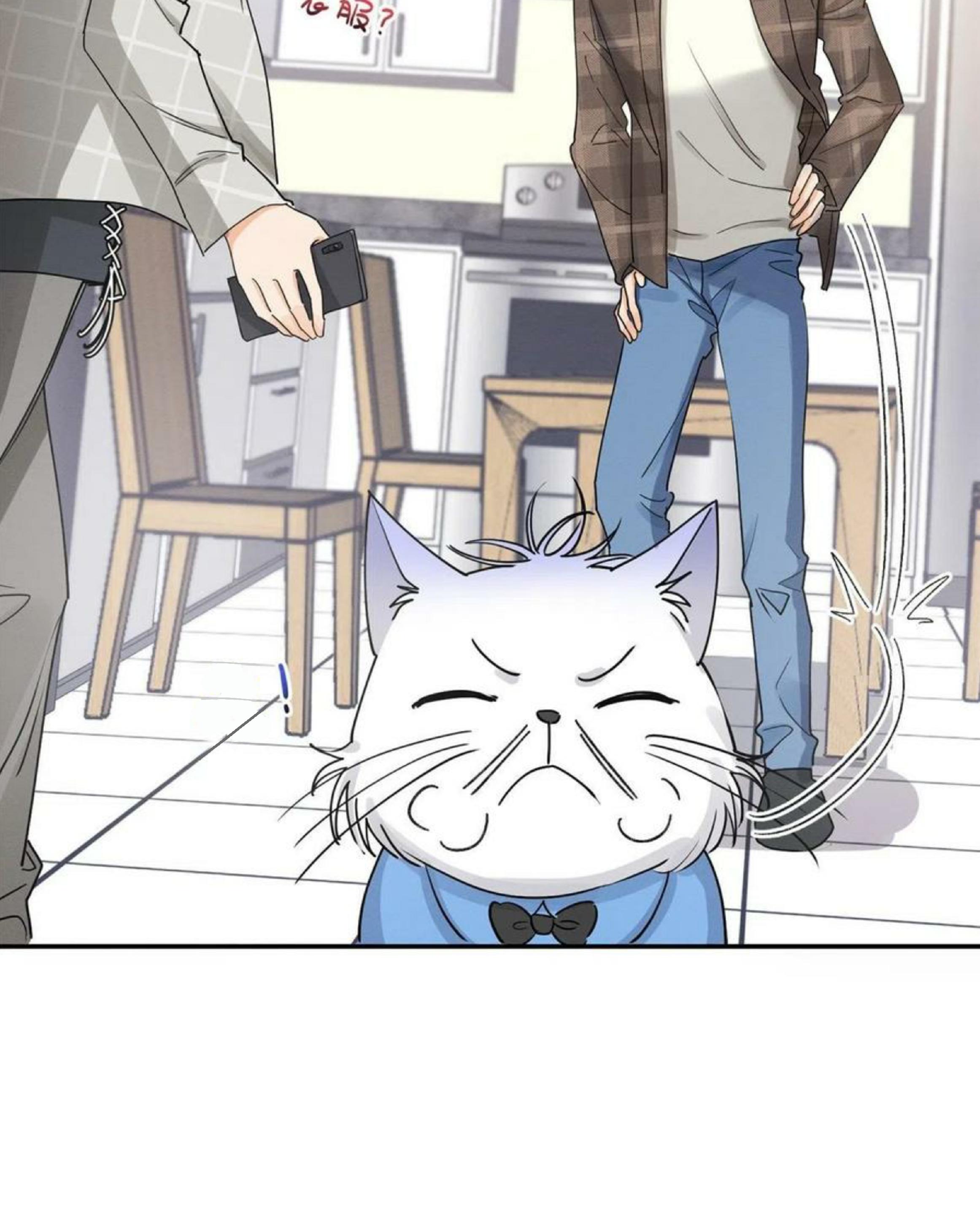 Tengo que trabajar duro para ser un gato hoy! - capitulo 14 manhwa
