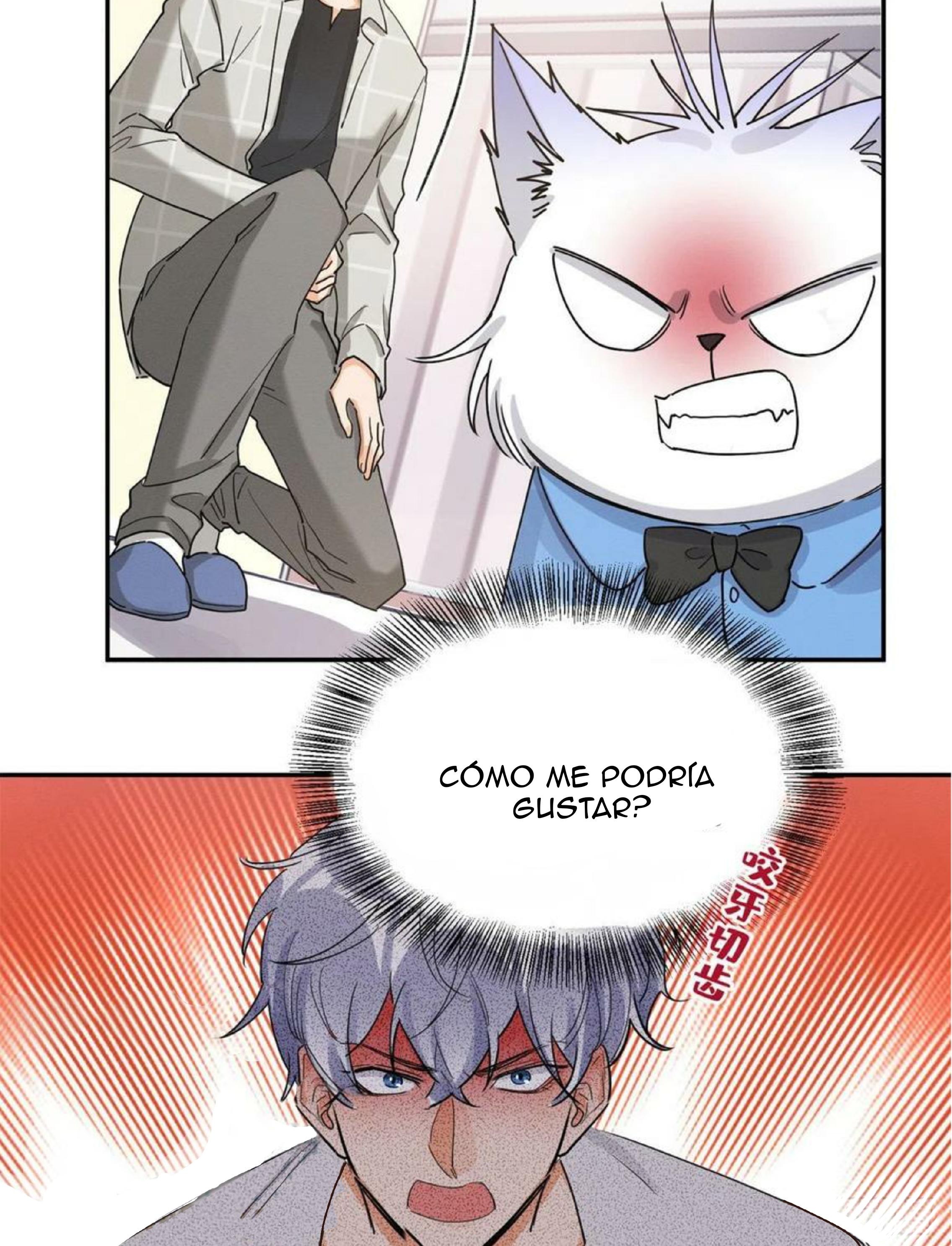 Tengo que trabajar duro para ser un gato hoy! - capitulo 14 manhwa