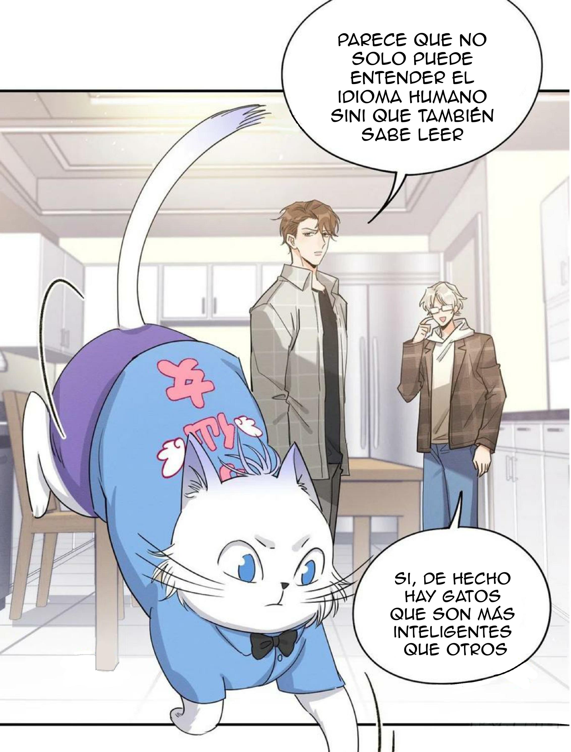 Tengo que trabajar duro para ser un gato hoy! - capitulo 14 manhwa