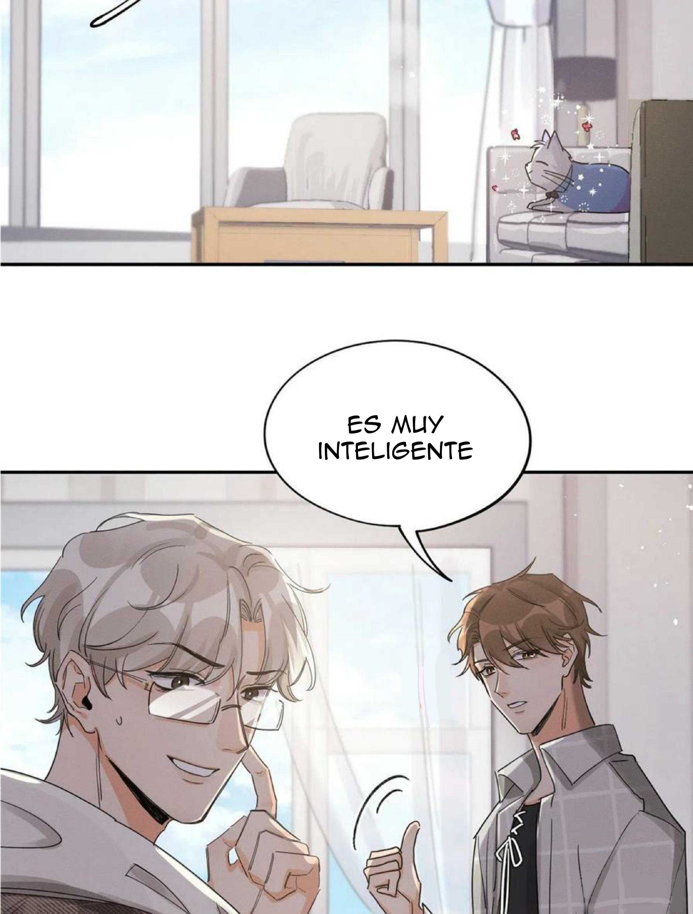 Tengo que trabajar duro para ser un gato hoy! - capitulo 14 manhwa