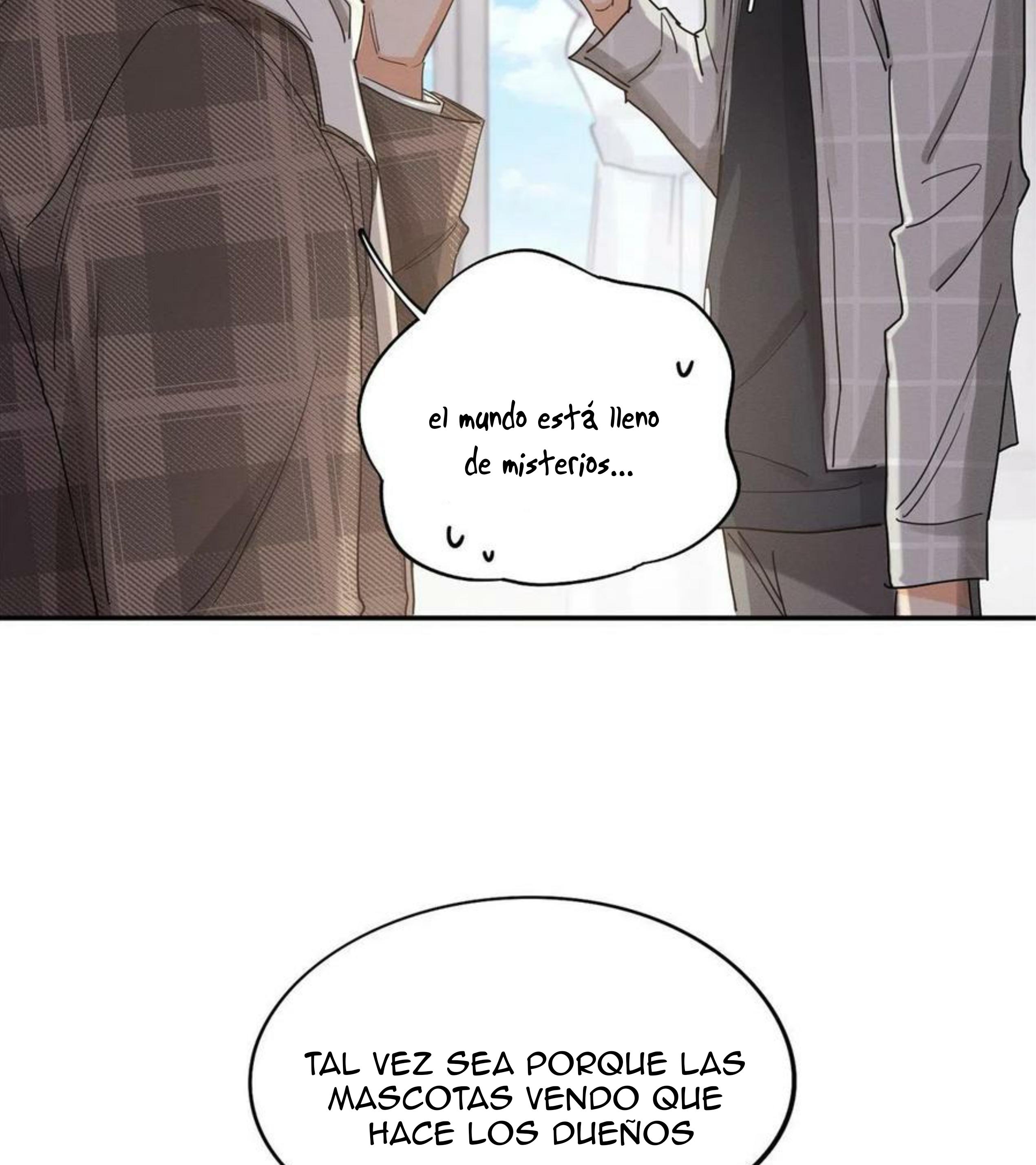 Tengo que trabajar duro para ser un gato hoy! - capitulo 14 manhwa