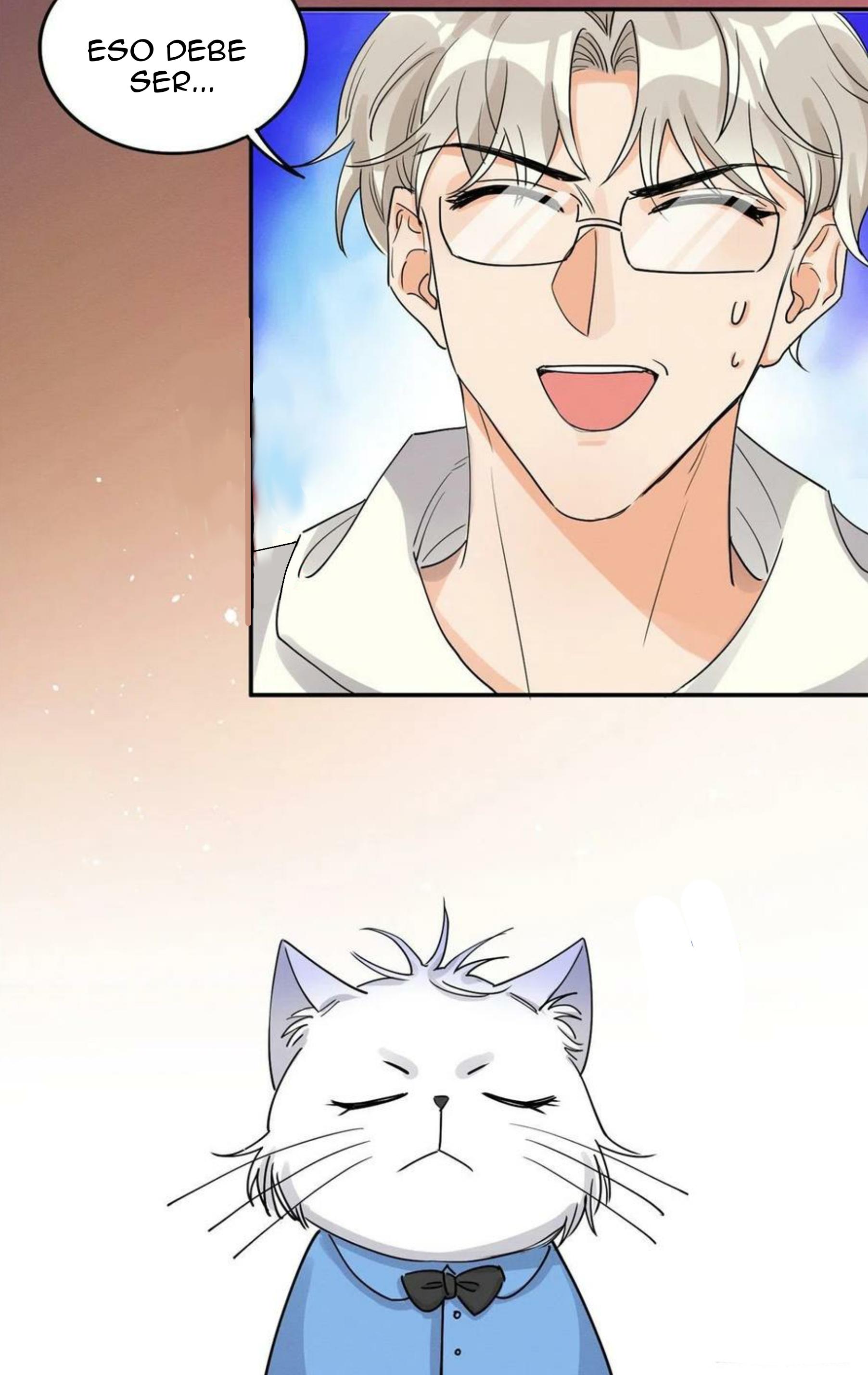 Tengo que trabajar duro para ser un gato hoy! - capitulo 14 manhwa