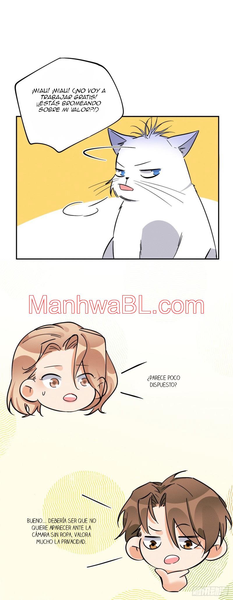 Tengo que trabajar duro para ser un gato hoy! - capitulo 25 manhwa