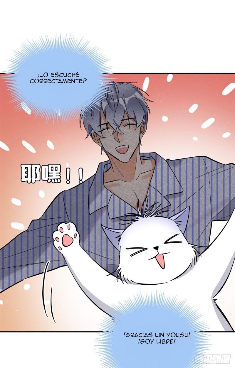 Tengo que trabajar duro para ser un gato hoy! - capitulo 25 manhwa