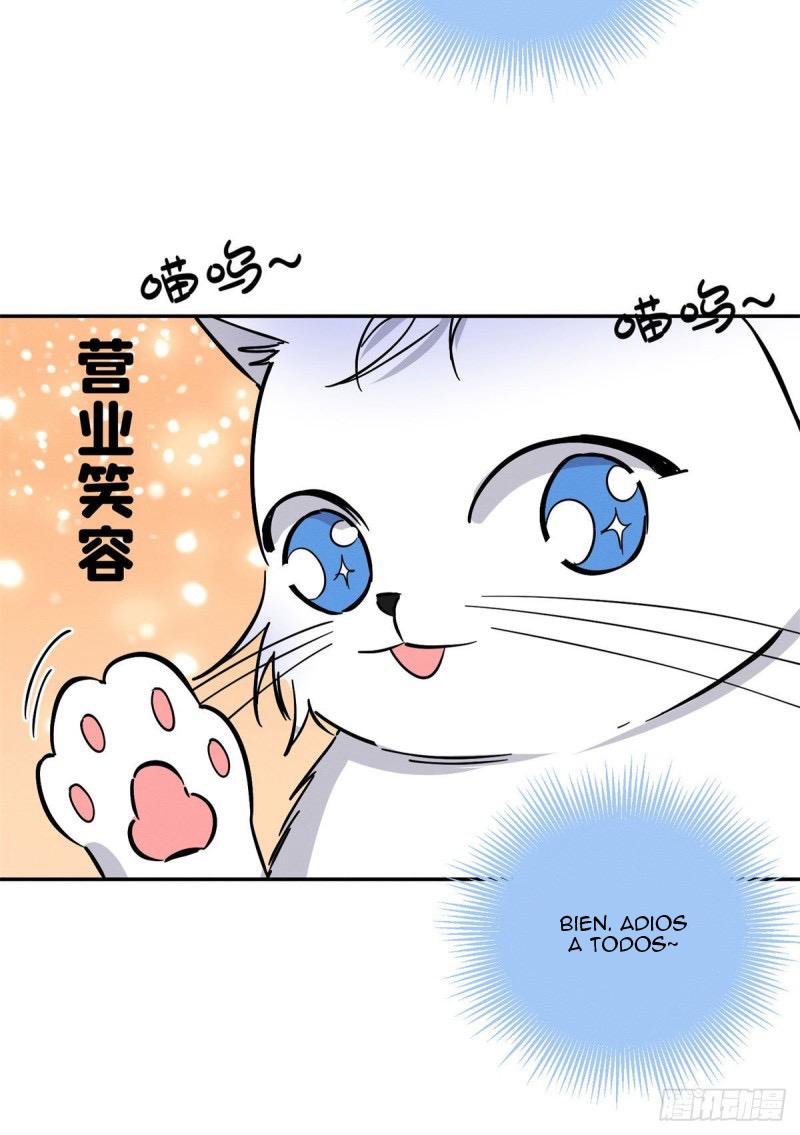 Tengo que trabajar duro para ser un gato hoy! - capitulo 25 manhwa