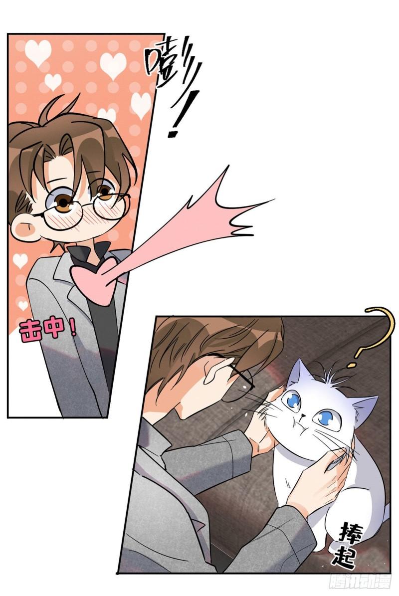 Tengo que trabajar duro para ser un gato hoy! - capitulo 25 manhwa