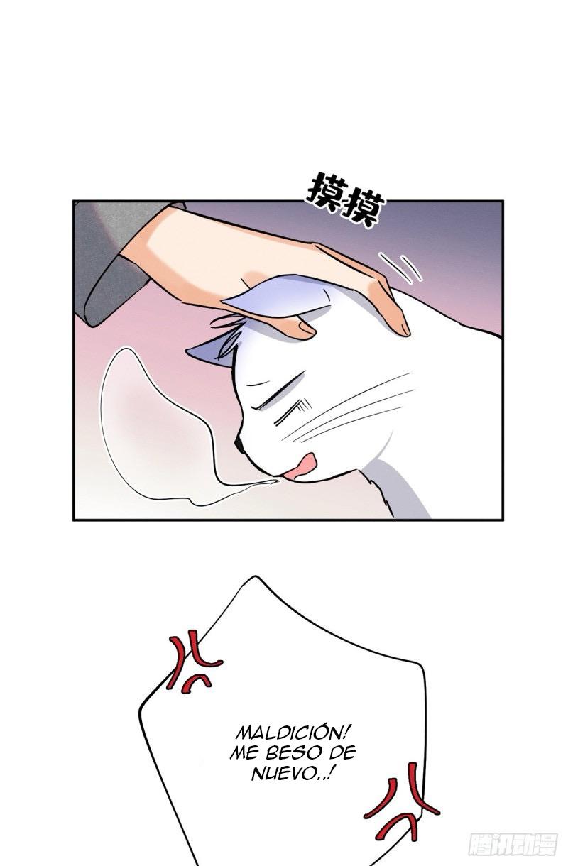 Tengo que trabajar duro para ser un gato hoy! - capitulo 25 manhwa