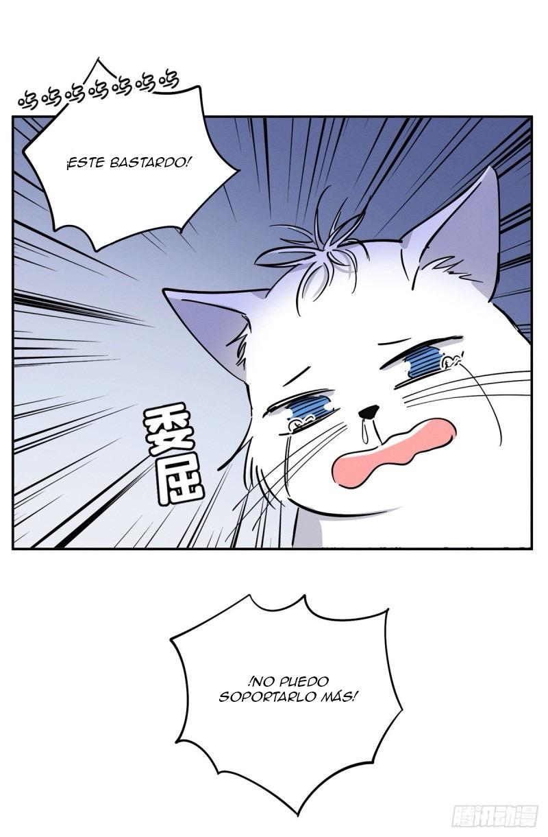Tengo que trabajar duro para ser un gato hoy! - capitulo 25 manhwa