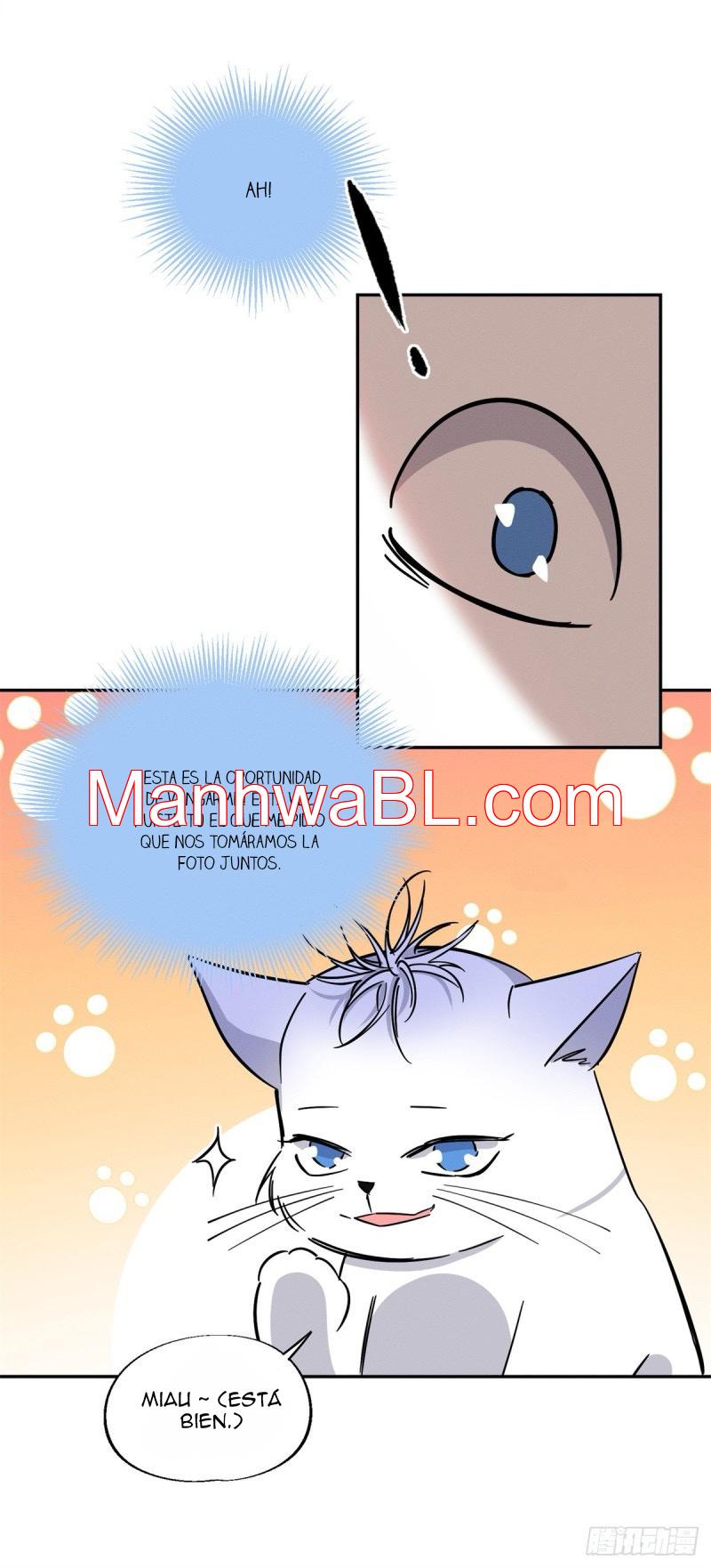 Tengo que trabajar duro para ser un gato hoy! - capitulo 25 manhwa