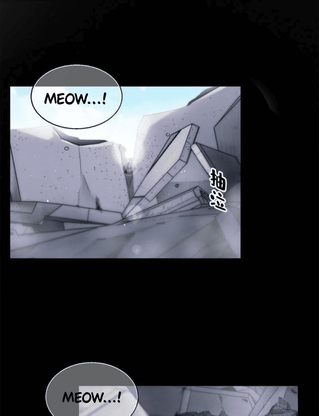 Tengo que trabajar duro para ser un gato hoy! - capitulo 51 manhwa