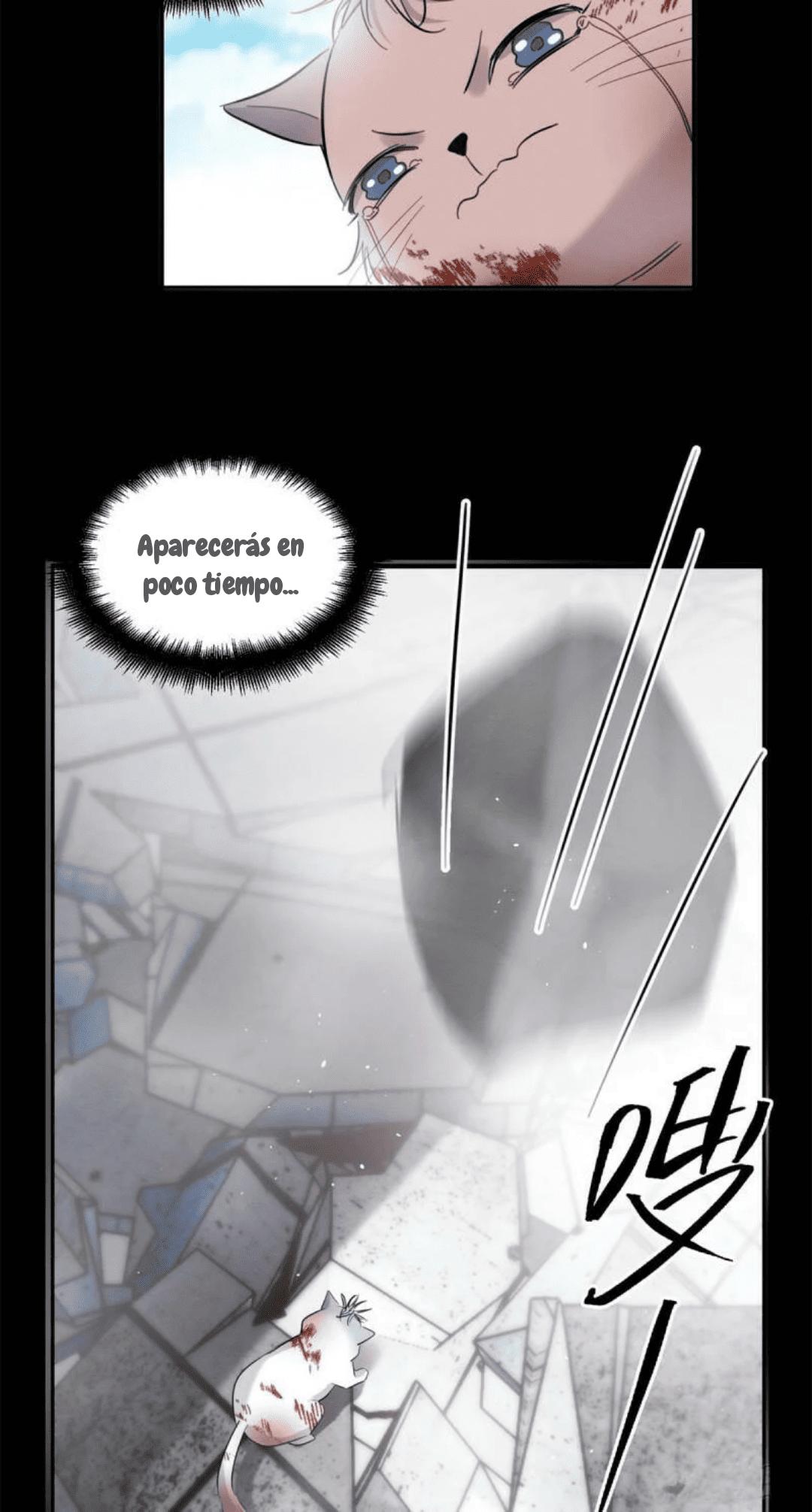 Tengo que trabajar duro para ser un gato hoy! - capitulo 51 manhwa