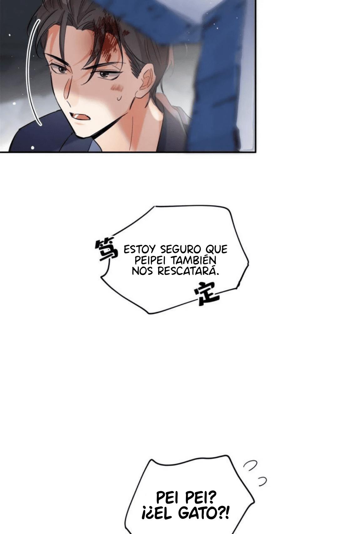 Tengo que trabajar duro para ser un gato hoy! - capitulo 51 manhwa