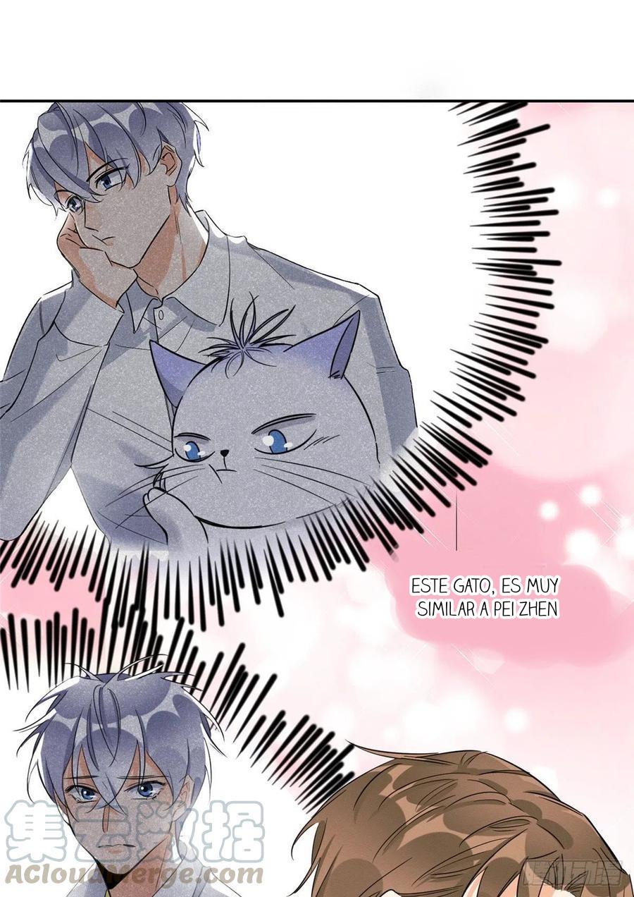 Tengo que trabajar duro para ser un gato hoy! - capitulo 36 manhwa