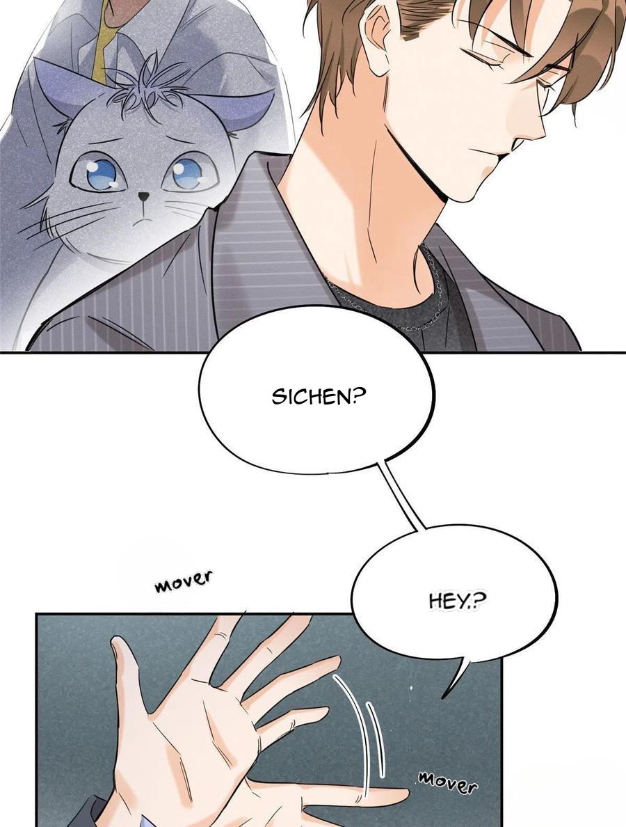 Tengo que trabajar duro para ser un gato hoy! - capitulo 36 manhwa