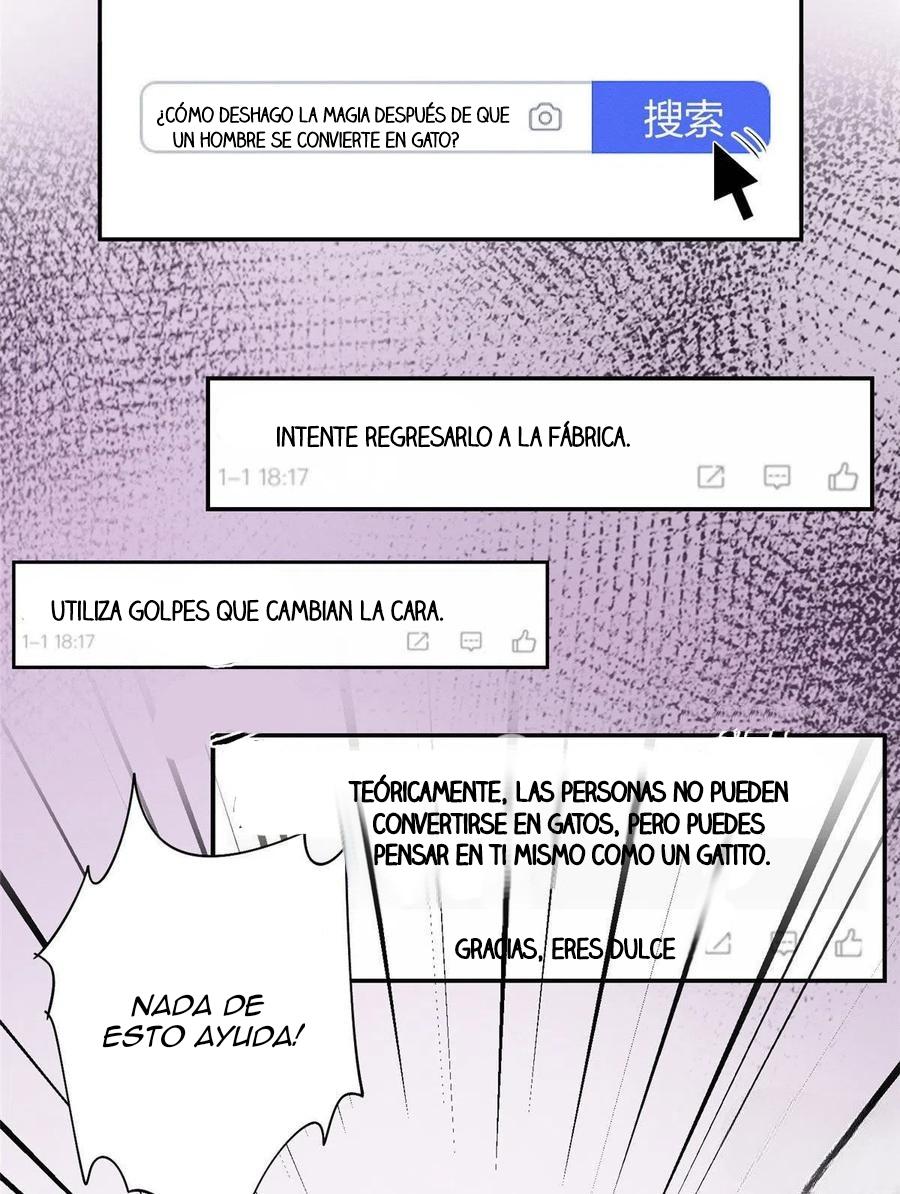 Tengo que trabajar duro para ser un gato hoy! - capitulo 36 manhwa