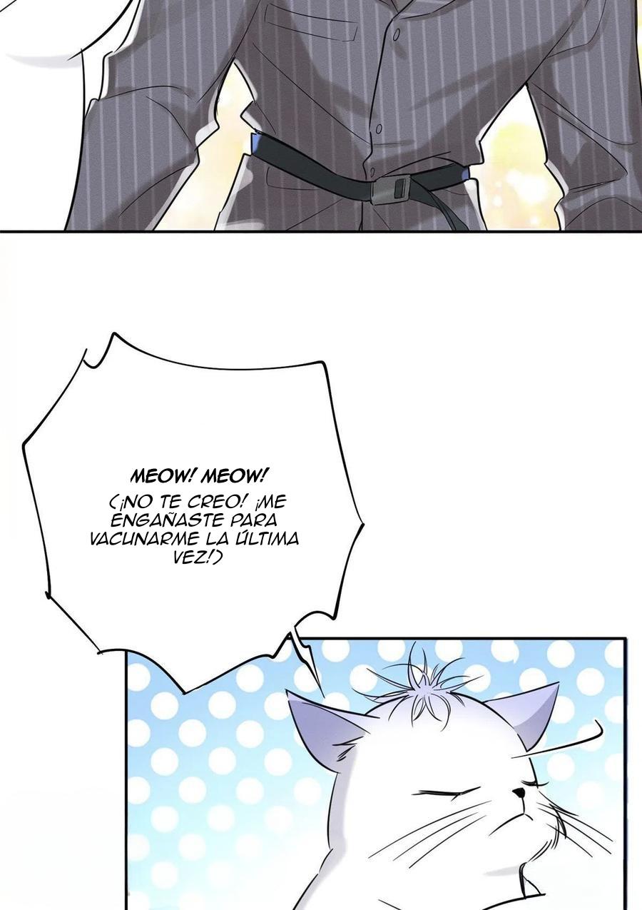 Tengo que trabajar duro para ser un gato hoy! - capitulo 36 manhwa