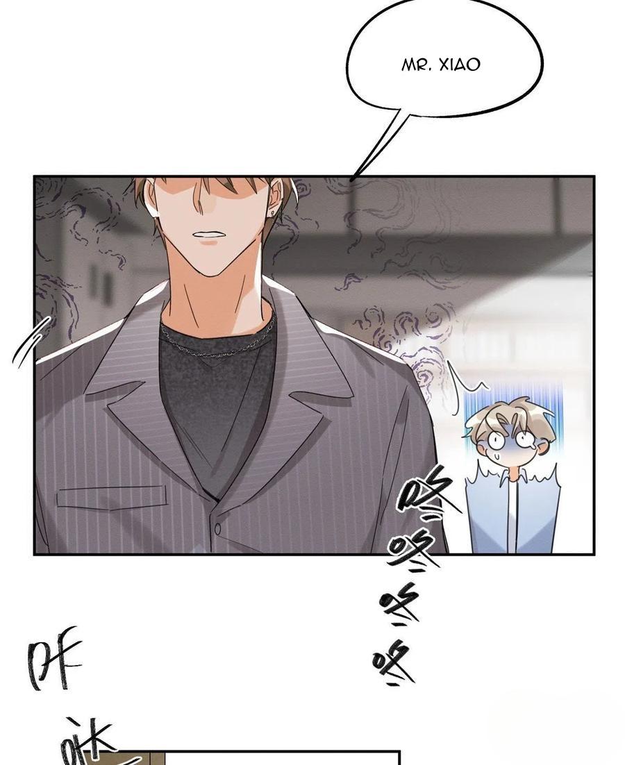 Tengo que trabajar duro para ser un gato hoy! - capitulo 36 manhwa