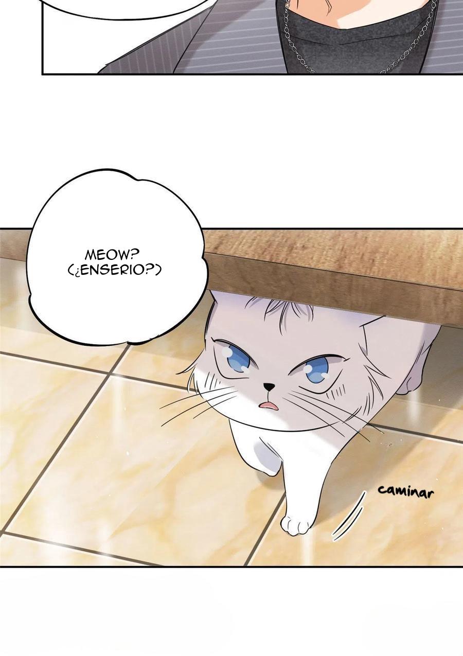 Tengo que trabajar duro para ser un gato hoy! - capitulo 36 manhwa