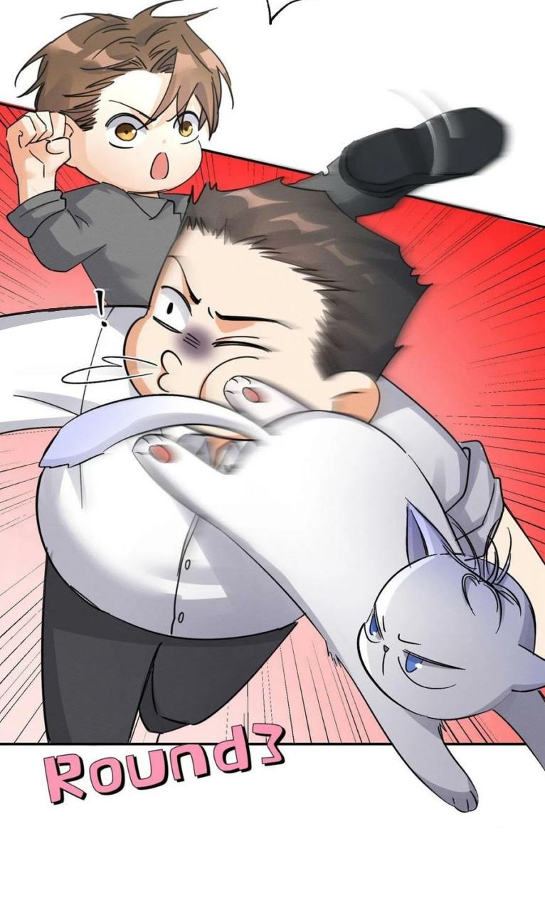 Tengo que trabajar duro para ser un gato hoy! - capitulo 17 manhwa